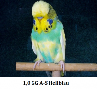 2011 011.png